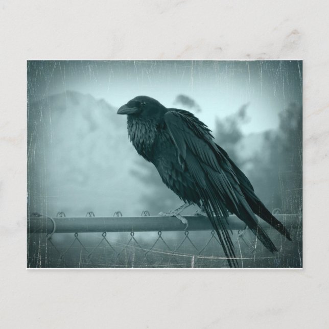 Carte Postale Messenger (Devant)