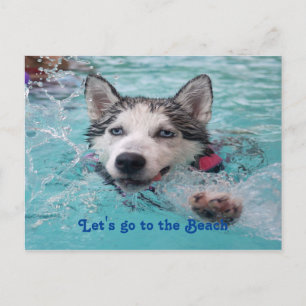 Carte Postale Mete Beach Dog salutations