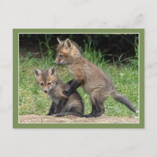 Carte Postale Mets-moi