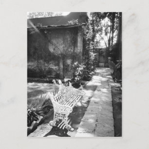 Carte Postale MEXICO, D.F., Mexico, COYOACAN : Banc à