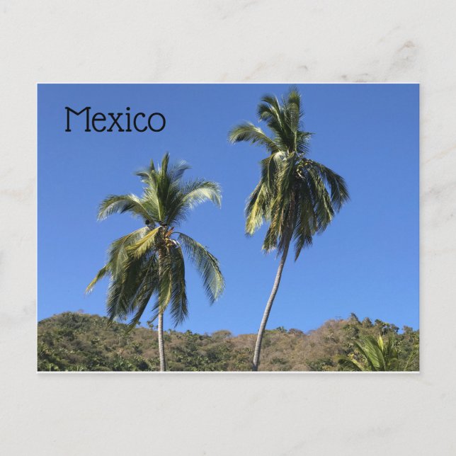 Carte postale Mexique (Devant)