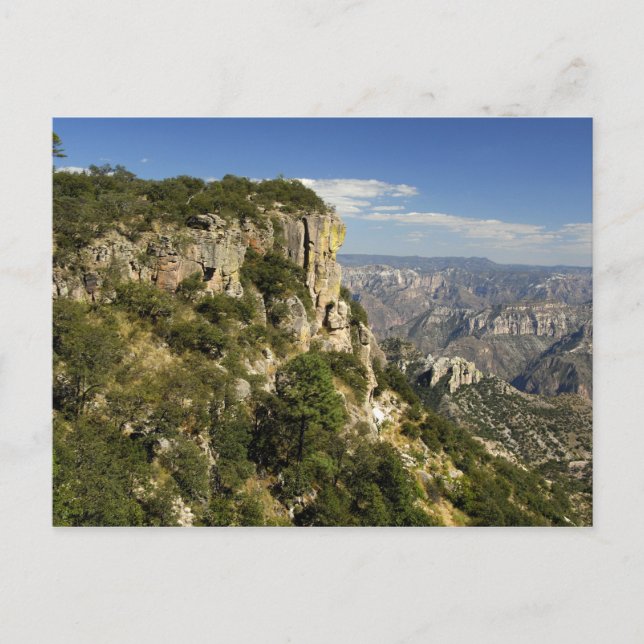 Carte Postale Mexique, Etat du Chihuahua, Canyon du cuivre. CECI (Devant)