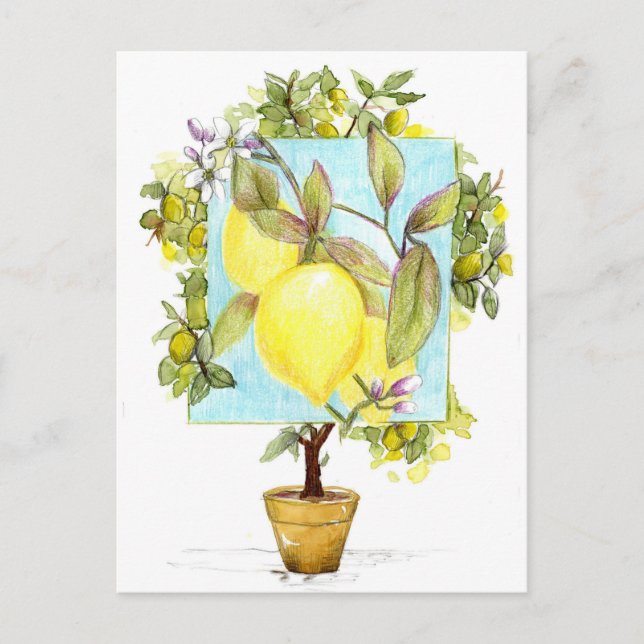 Carte Postale Meyer Lemon Tree Citrus Fruit Garden (Devant)