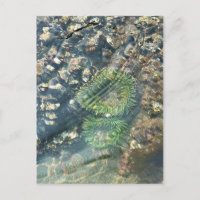 Meyers Beach North, Gold Beach, Oregon