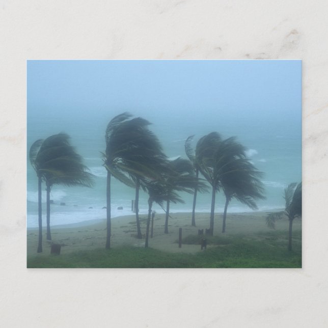 Carte Postale Miami Beach, Floride, vents d'ouragan fouettant (Devant)