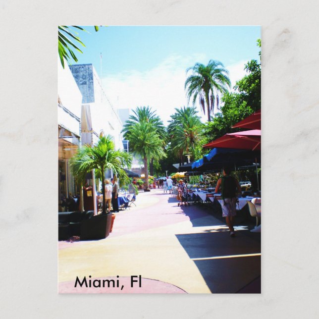 Carte Postale Miami, Fl (Devant)