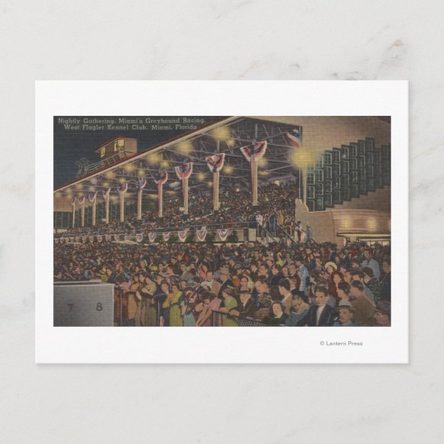 Carte Postale Miami, FL - West Flagler Kennel Club, Chien (Devant)