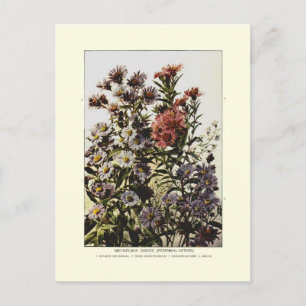 Carte Postale Michaelmas