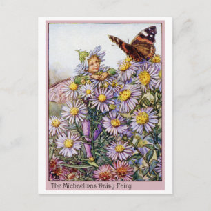 Carte Postale Michaelmas Daisy Fairy