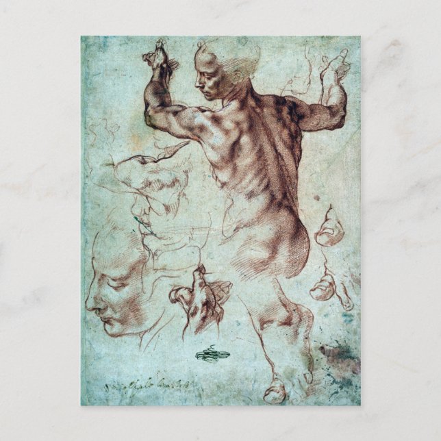 Carte Postale Michelangelo Buonarroti Etudes pour Libyan Sibyl (Devant)