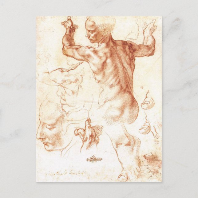 Carte Postale Michelangelo - Libyan Sibyl peinture (Devant)
