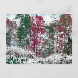 Carte Postale Michigan