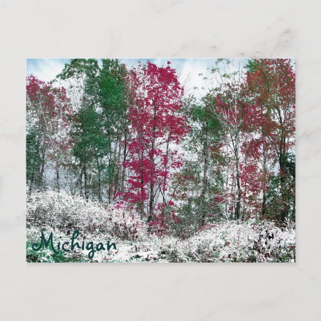 Carte Postale Michigan (Devant)