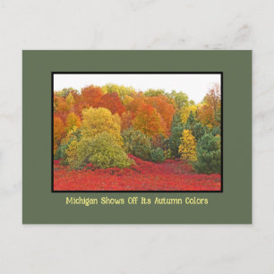Carte Postale Michigan montre ses couleurs d'automne