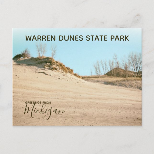 Carte Postale Michigan Salutations De Warren Dunes State Park (Devant)