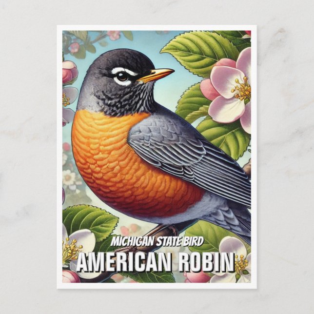 Carte Postale Michigan State Bird American Robin (Devant)