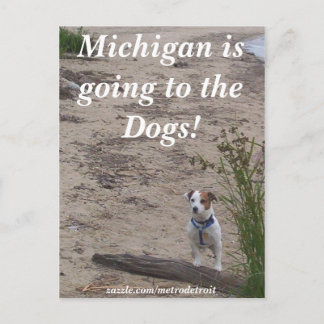Carte Postale Michigan va aux Chiens !