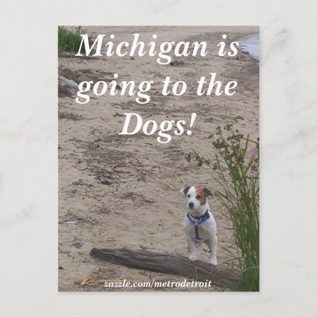 Carte Postale Michigan va aux Chiens ! (Devant)