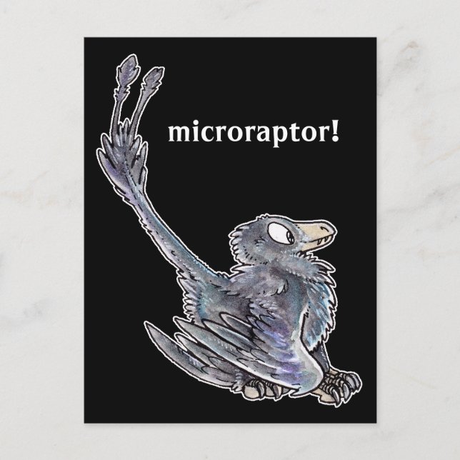 Carte postale Microraptor (Devant)