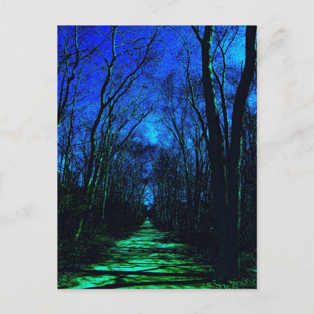 Carte Postale Midnight (Devant)