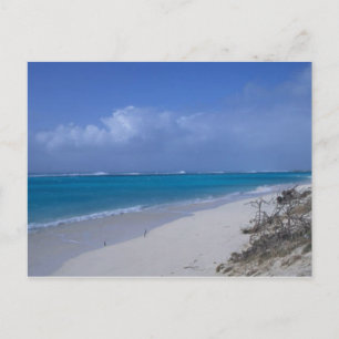 Carte Postale Midway Atoll Beach