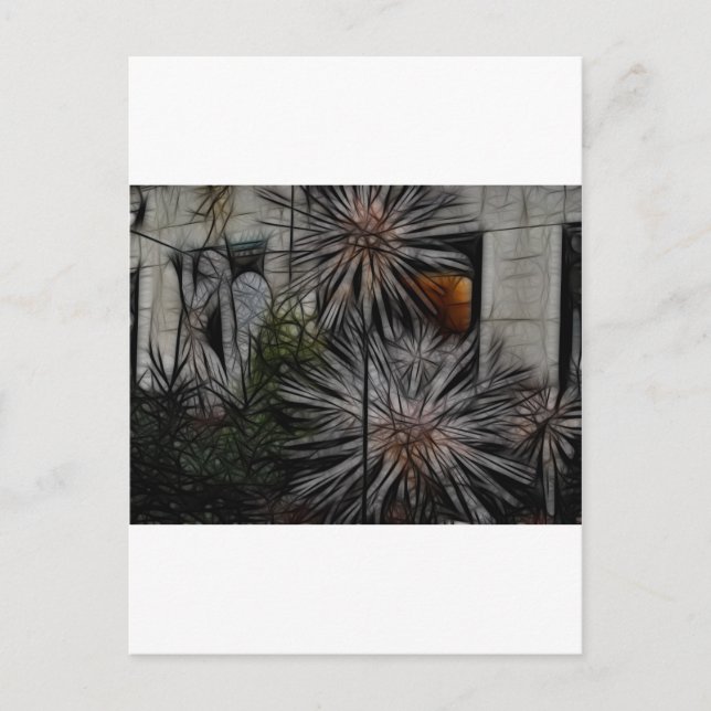 Carte Postale Miel fané (Devant)