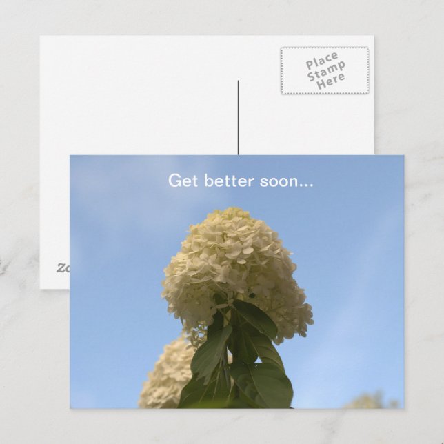 Carte Postale Mieux vaut Bientôt Lime Hydrangea (Devant / Derrière)