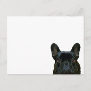 Carte Postale Mignon Black French Bulldog Frenchie Photo :