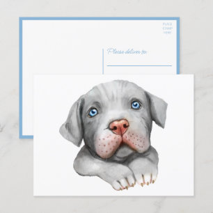 Carte Postale Mignon chien Pit Bull amour chiot salut Pitbull