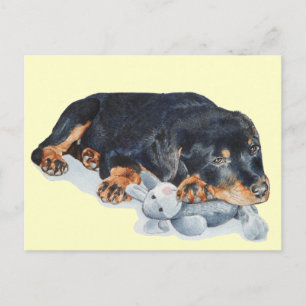 Carte Postale mignon chiot chien rottweiler bouddling ourson art