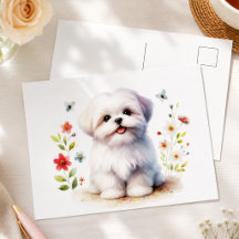 Mignon chiot Shih Tzu floral
