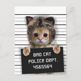 Carte Postale Mignonne chat mauvais garçon