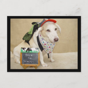 Carte Postale Mignonne Chien drôle Retour à l'école