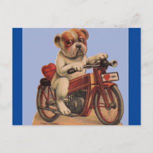 Carte Postale Mignonne Chien Vintage sur Motorbike Valentine Car