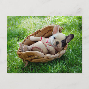 Carte Postale Mignonne chiot dans un Mitt de baseball