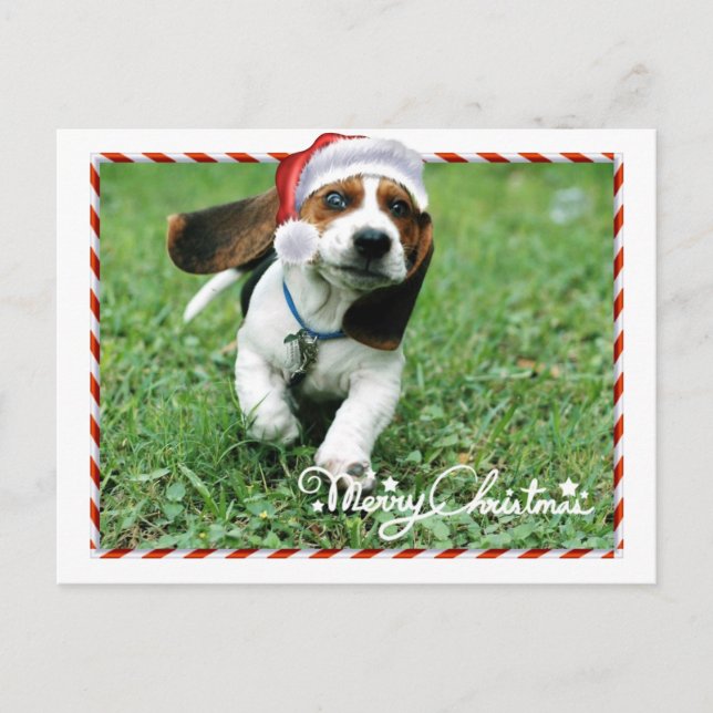 Carte postale mignonne de vacances de Joyeux Noël (Devant)