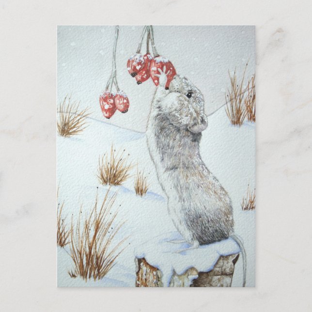 Carte Postale Mignonne faune de la scène de neige à Noël (Devant)