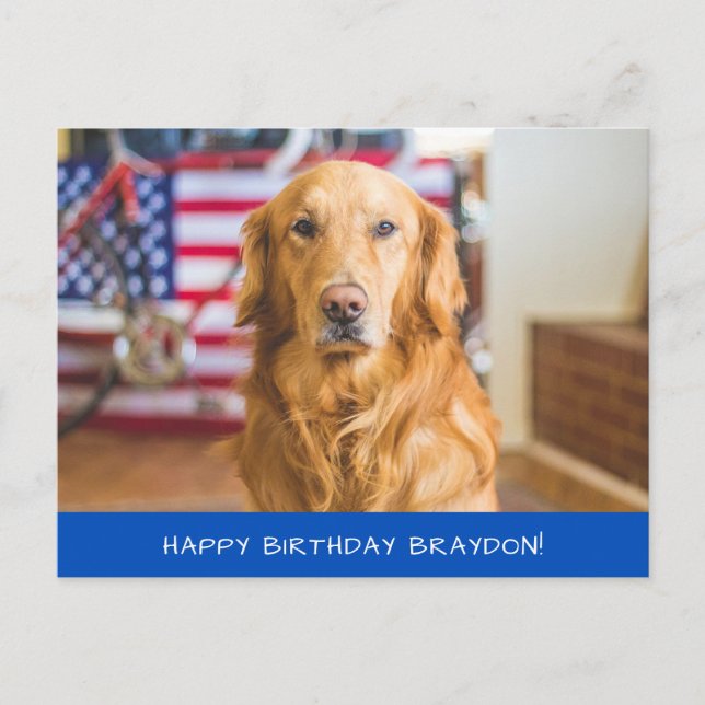 Carte Postale Mignonne Golden Retriever Chien (Devant)