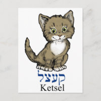 mignonne petite chatte-"ketsel" en yiddish