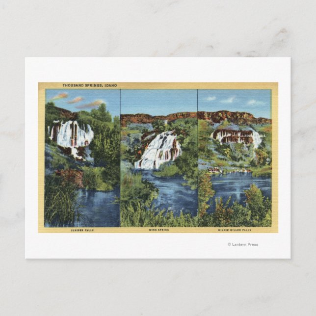 Carte Postale Mille sources, pièce d'identité - Juniper, Wing et (Devant)