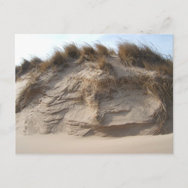 Carte Postale Miller Beach à Gary, Indiana (Devant)