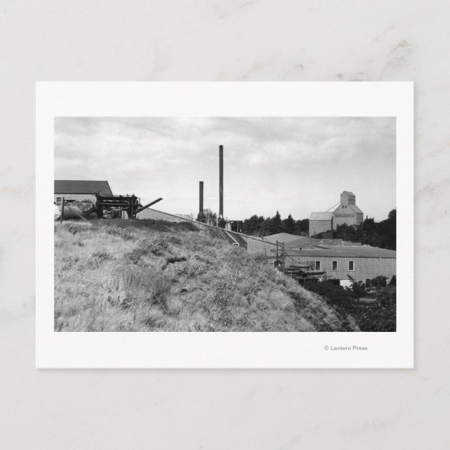 Carte Postale Milton, Oregon Vue de la ville Ascenseur Photo (Devant)