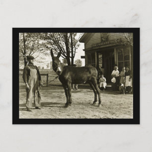 Carte Postale Milwaukee Mule et fermier Vintage