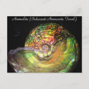 Carte Postale Minéraux et pierres gemmes # 127