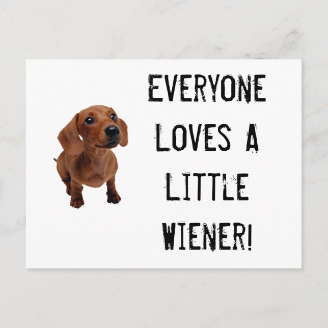 Carte postale Mini Dachshund Little Wiener (Devant)