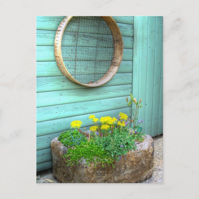Carte Postale Mini jardin rustique (Devant)