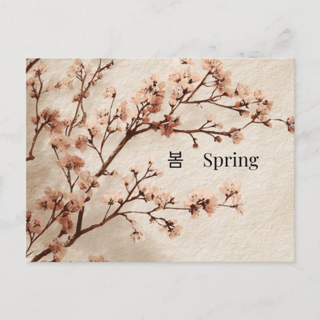 Carte Postale Minimal Cherry Blossom Spring Postcard (Devant)