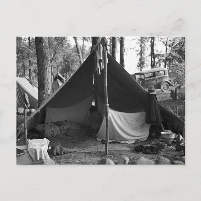 Carte Postale Minnesota Blueberry Pickers, 1937 (Devant)