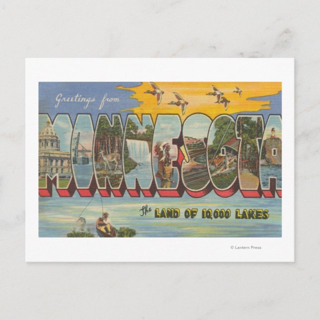 Carte Postale Minnesota (Canards) - Scènes de grandes lettres (Devant)