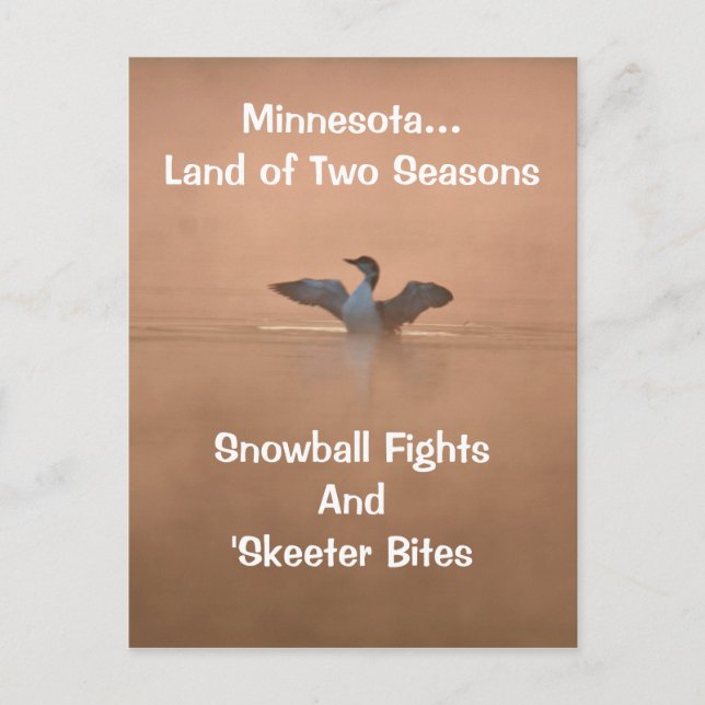 Carte Postale Minnesota...Terre de deux saisons (Devant)